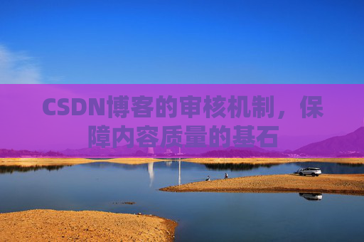 CSDN博客的审核机制，保障内容质量的基石